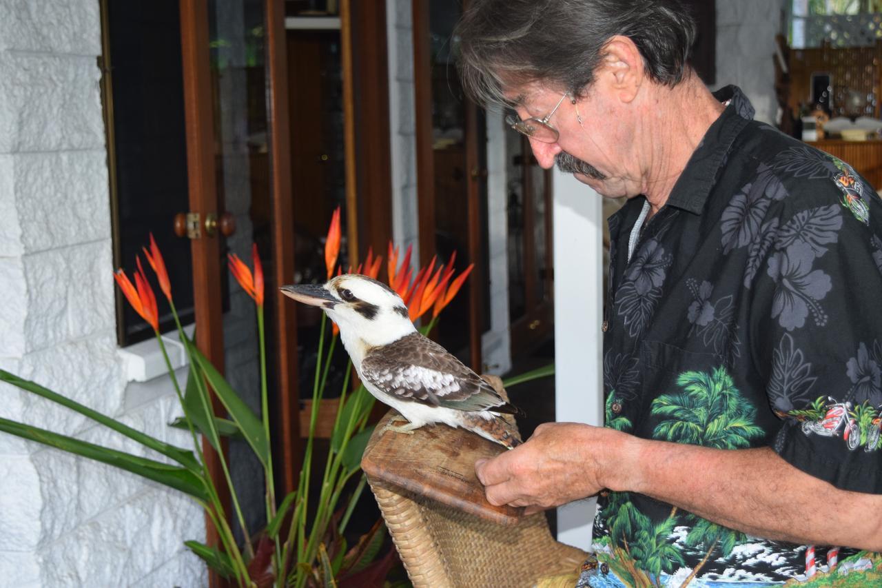 South Pacific Bed & Breakfast Clifton Beach Eksteriør billede